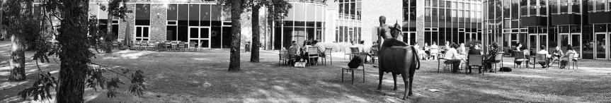 DSC09845 PANO CEDEP BW